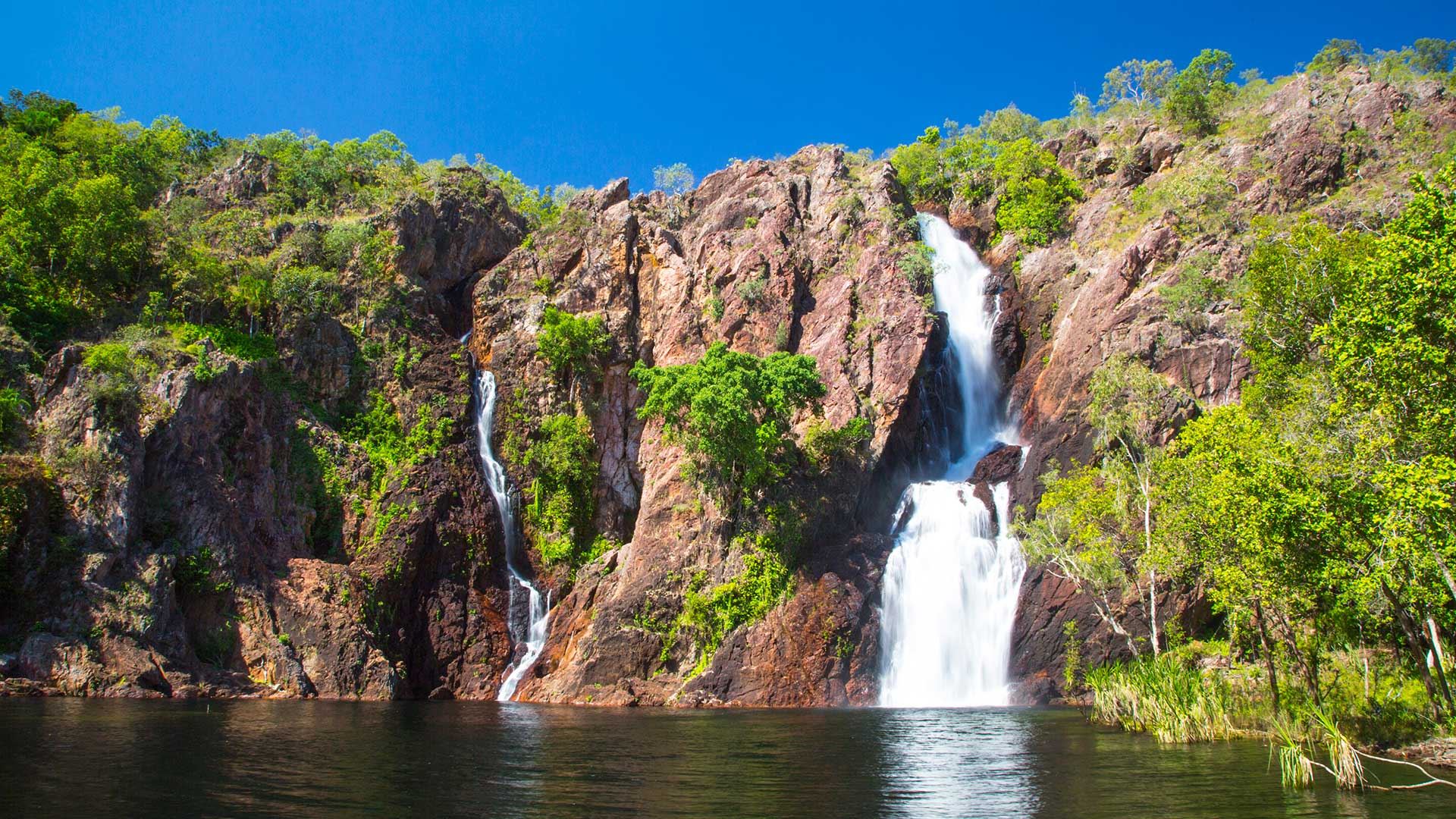 Darwin Litchfield National Park + Waterfalls + Magnetic Termite Mounds 1-day Tour [Lunch + Transfer]