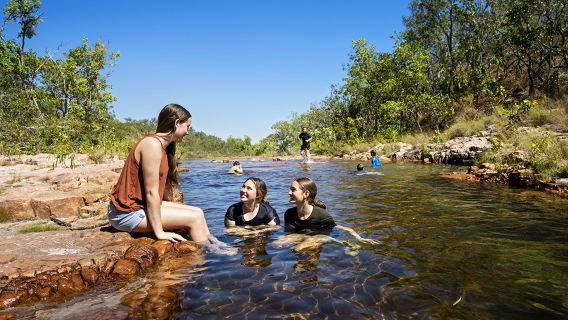 Excursión de un día al Parque Nacional Litchfield y crucero de cocodrilos desde Darwin