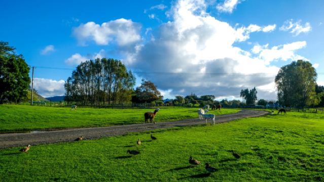 瑞士-蘇黎世-格林德瓦夢幻山坡-龍疆-布里恩茨湖｜中文司導