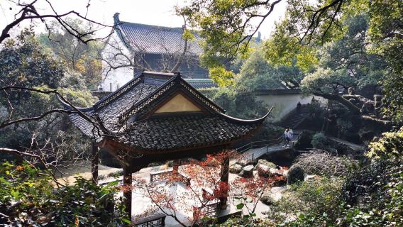 guida professionale a Hangzhou|Servizi di traduzione (traduzione commerciale/turistica) tour privato con autista personalizzato F