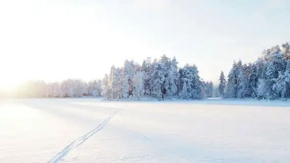 Winter wonderland hike