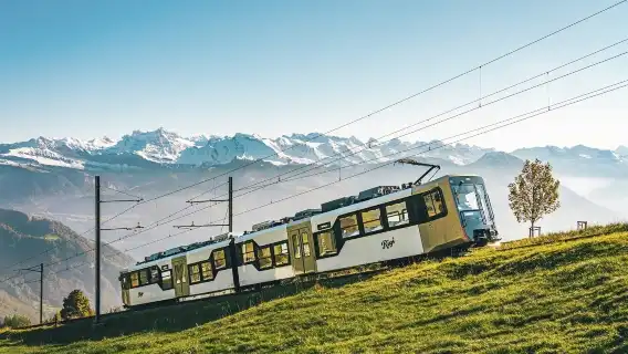Mount Rigi day trip from Zurich with boat tour