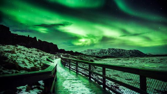 Reykjavík: Northern Lights Bus Tour