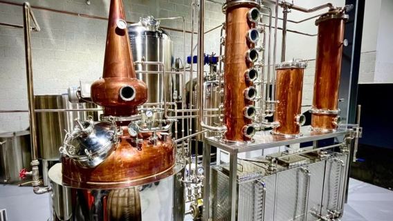 Celtic Boyne Valley & Ancient Sites: Day Tour from Dublin