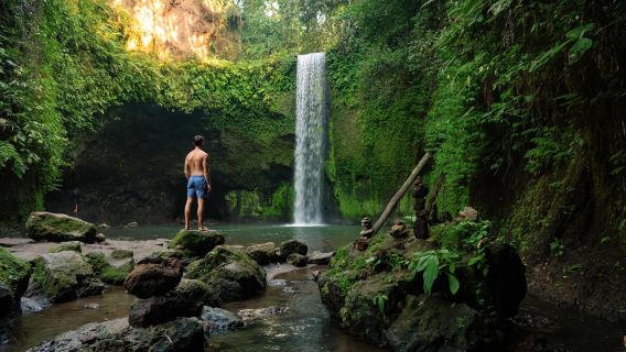 Ubud All-Inclusive Tour: Waterfalls, Water Temple, Rice Terrace, Jungle Swing and More