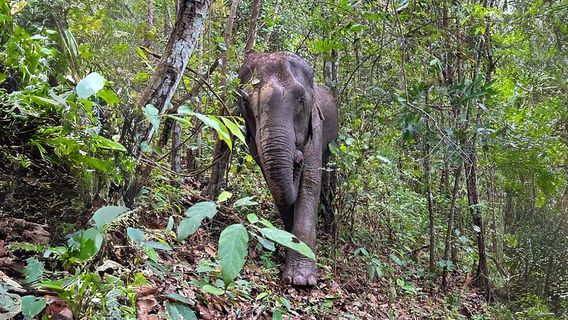 Chom ThongTours