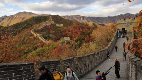 Privater Zwischenstopp-Ausflug zur Großen Mauer von Mutianyu und zu den Hutongs mit englischsprachigem Fahrer