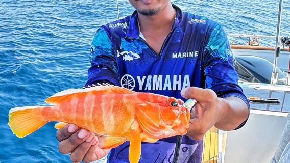 リトルエンペラー島への日帰りツアー|ブラックナイトの中国語釣りガイド |本格的な釣り+シュノーケリング+ランチ!