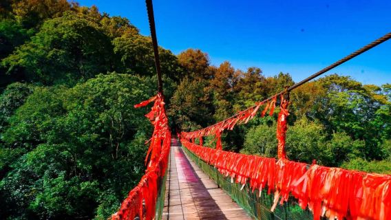 桂林-【多言語対応、カスタマーサポートへお気軽にお問い合わせください】-- 英語-日本語-韓国語-フランス語-ロシア語などの言語|ガイド|現地ガイド|ハイキングツアー|翻訳