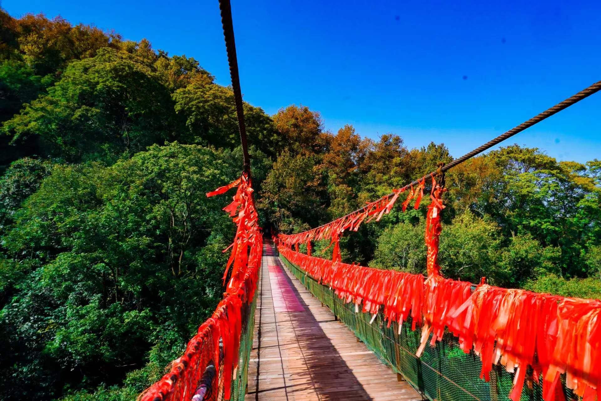 Guilin - [Multilingual support available, feel free to contact customer support] - English, Japanese, Korean, French, Russian, and other languages|guide|Local guide|Hiking tour|Translate