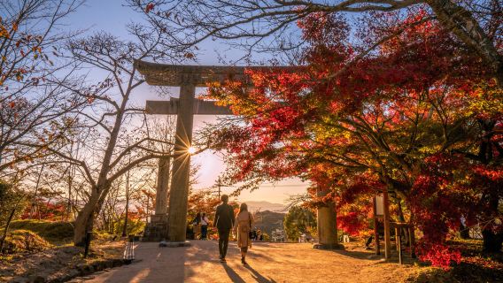 Kyushu Automne : Porte de la Grotte Bleue + Huit Vues + Pont Suspendu Kokonoe Yume + Dazaifu (Départ de Fukuoka)