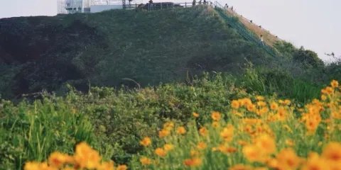 牛島+海洋館+月汀裏海邊+濟州東門市場一日遊【中文司機】
