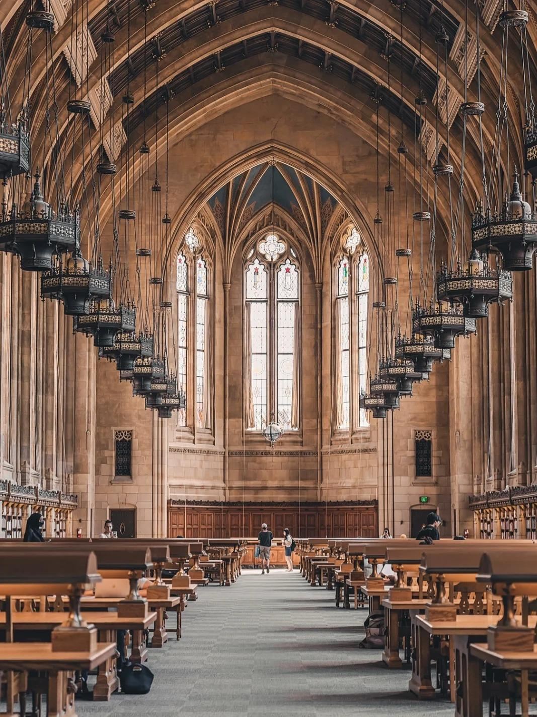 Seattle Pop Culture + Pike Place Market + Amazon Spheres + Space Needle + University of Washington