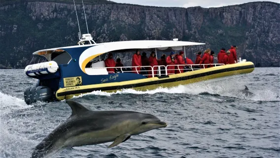 Tasmania Tasman Peninsula/Cape Raoul speedboat cruise [optional departure from Hobart]