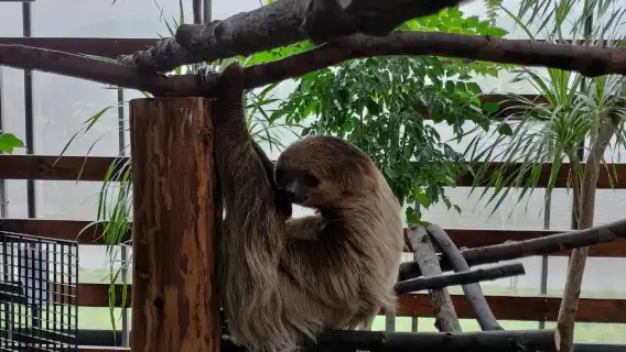 Yilan Classic Tour: Zhang Mei Farm & Qingshui Geothermal DIY (Hotel Pickup from Taipei)