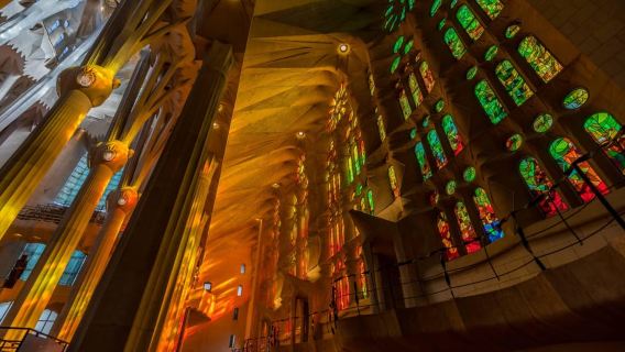 Barcelone : visite guidée du parc Güell et de la Sagrada Familia