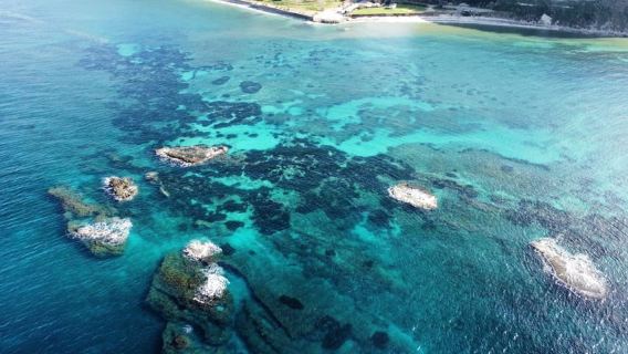 Tropea: escursione Max 8 Persone esclusiva Costa degli Dei