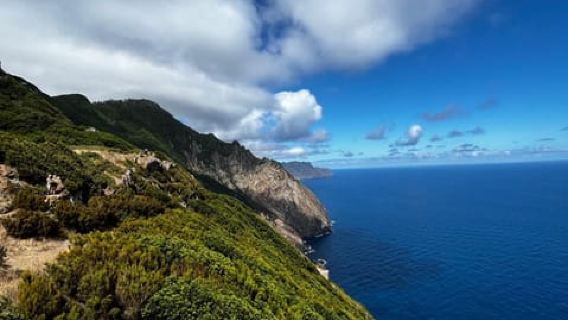 Madeira: Vereda do Larano Trail One-Way Transfer Service