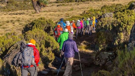 9 Days Mount Kilimanjaro Climbing – Northern Circuit Route