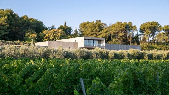 Da Aix-en-Provence: vino, olio d'oliva e villaggi pittoreschi