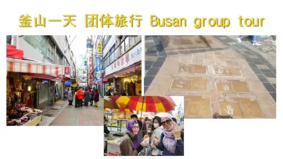 釜山遊輪共享之旅 最多 15 位客人