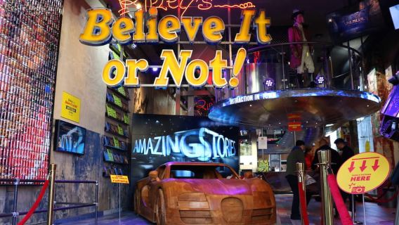 Crociera di 1 ora sui canali di Amsterdam e Ripley's Believe it or Not