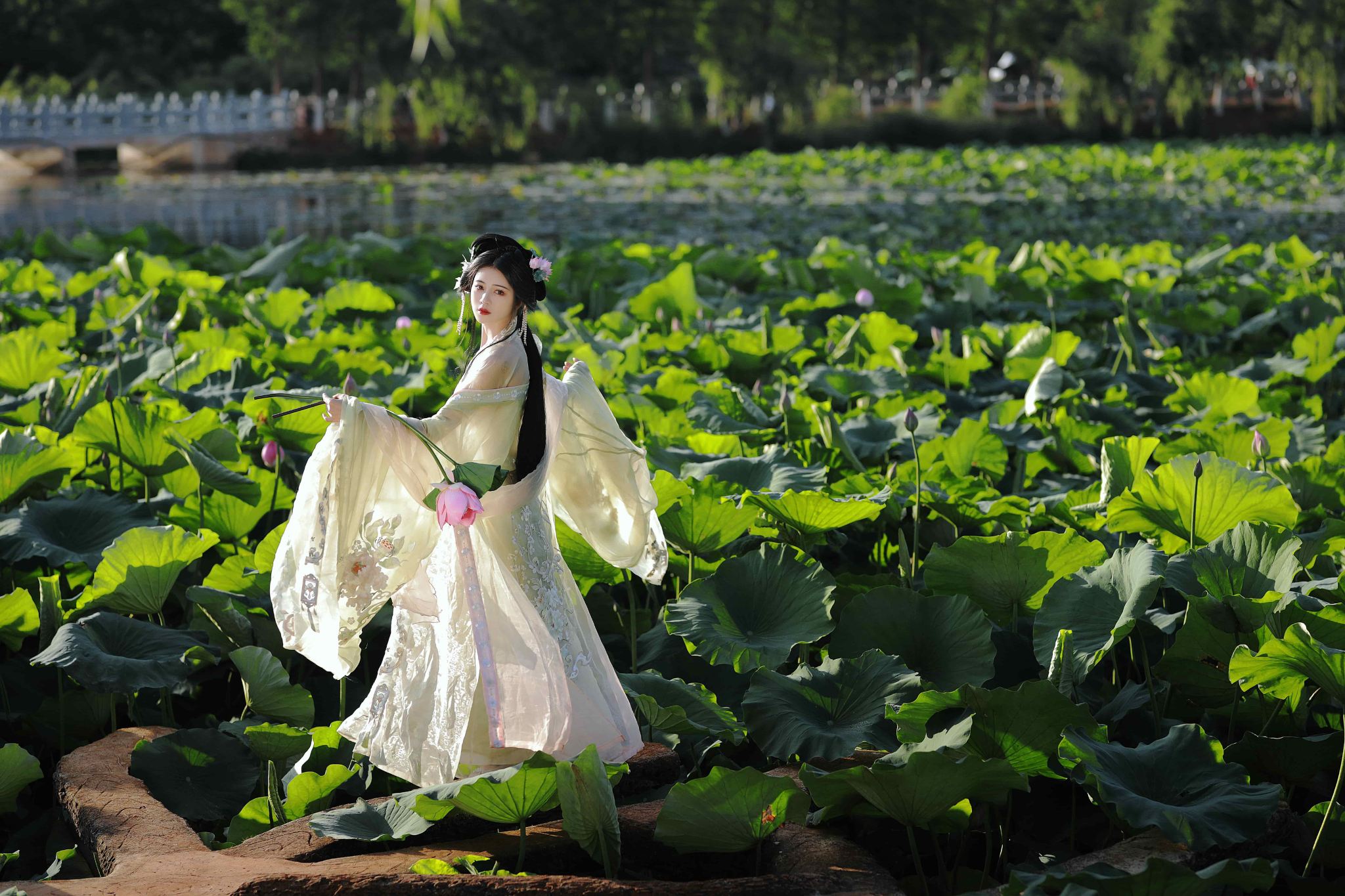 紐西蘭羅托魯瓦Trip Moments【司機兼導遊兼Trip Moments攝影師+婚紗照空拍微電影+化妝服裝+行程定制+不限人數】