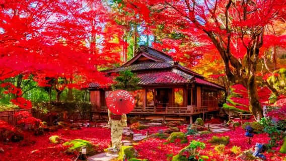 Lawatan sehari ke Kuil Enryaku-ji Gunung Hiei, Omihachiman dan Iluminasi Daun Luruh Merah Kuil Kyōrin-bō Ishi-no-dera di Jepun