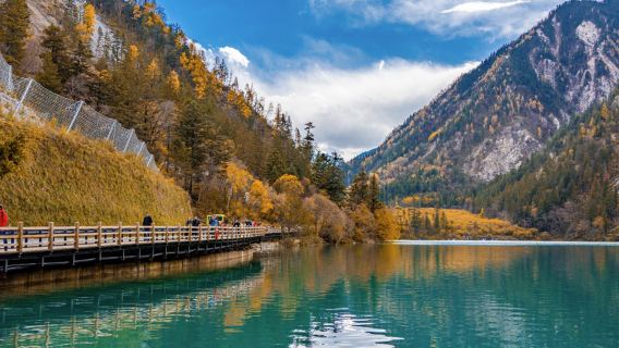 黃河九曲包車遊『高鐵站發車 九寨溝發車 來回&連程可選』正規車輛·5 座轎車 7-9 座商務包車可選