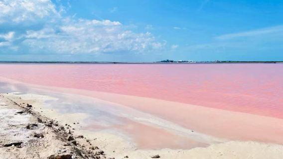 墨西哥坎昆粉紅湖+火烈鳥風景區【私家包車+南美全線定制】