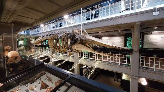 英國曼徹斯特博物館+曼聯足球俱樂部+伯明翰博物館美術館一日遊