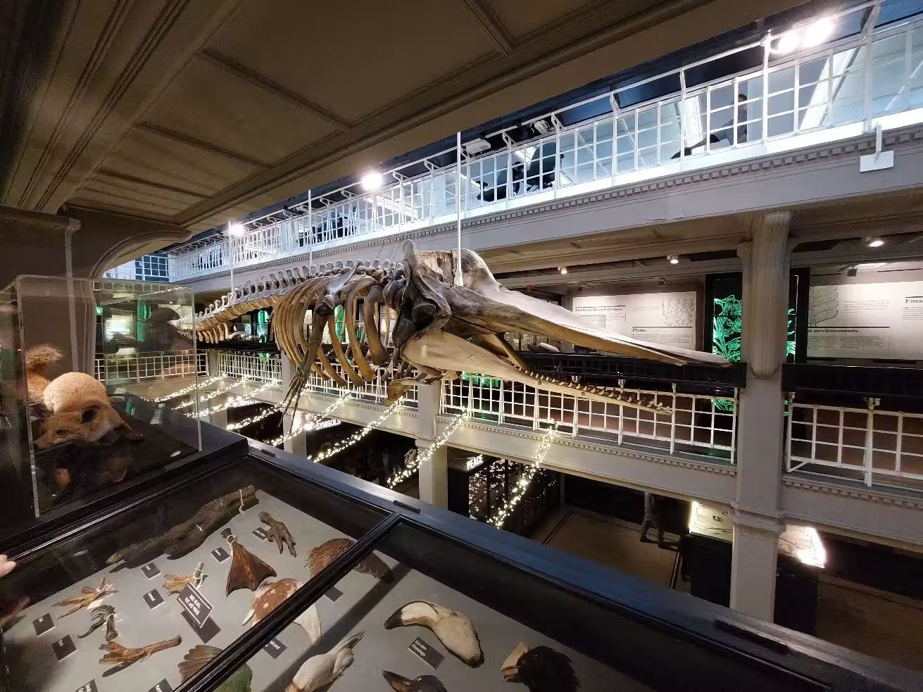 英國曼徹斯特博物館+曼聯足球俱樂部+伯明翰博物館美術館一日遊