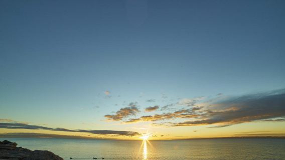 加拿大 多倫多 城市精華一日遊【專屬司導10H服務】