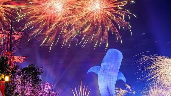 Pakej pilihan untuk Chimelong Ocean Kingdom termasuk Taman Kapal Angkasa, Penguin/Kapal Angkasa/Hengqin Bay/Sarkas/Yinghai, persembahan Chimelong/Kakak Hu, 1 malam dengan pertunjukan bunga api berwarna-warni di lautan, 2 malam di Chimelong Ocean.