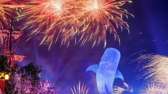 Chu Hải Trường Long Vương Quốc Đại Dương Công Viên Tàu Vũ Trụ Có Thể Chọn Gói Cánh Cụt/Tàu Vũ Trụ/Vịnh Hoành Cầm/Rạp Xiếc/Nghênh Hải Bao Gồm Trường Long Tú/KaKa Hổ 1 Đêm Biển Huyễn Sắc Pháo Hoa 2 Đêm Trường Long Đại Dương