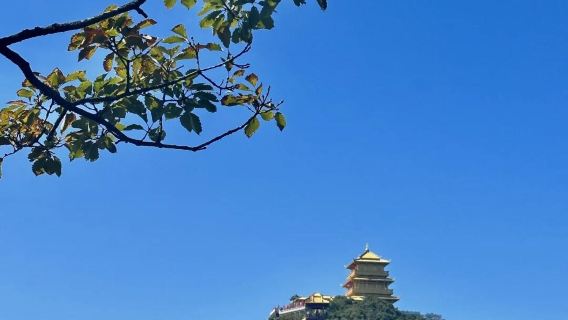 Jiyuan 1-day private charter tour: Yellow River Xiaolangdi Scenic Area in Jiyuan + Huanghe Three Gorges + Wangwu Mountain (English service available)