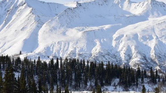 阿拉斯加費爾班克斯迪納利國家公園一日遊【中文導遊/包含接送】
