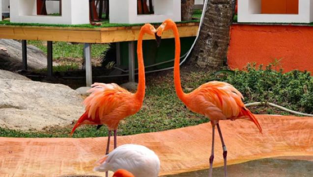 Pulau Wuzhizhou, Maldives China [Lawatan Sehari]