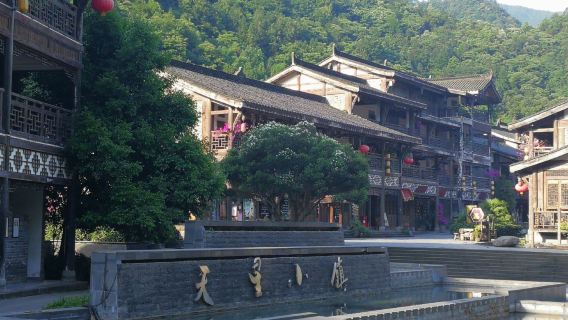 [Chongqing Nanchuan Jinfo Mountain 1-day Tour] North Slope Ascent (English guide available)