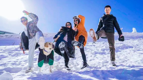 鷓鴣山一日遊來回接駁車【純車位+冬季賞雪滑雪聖地】