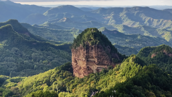 【小白龍甄品*一人也發】麥積山石窟半日遊/登窟講解/上門接送