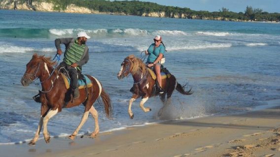 Want to Learn to Gallop at Bavaro Punta Cana Beach!