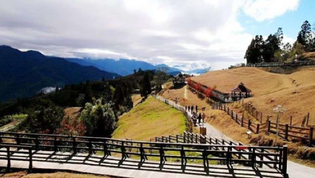 限時優惠：台灣南投‧清境農場+合歡山一日遊【台中出發】