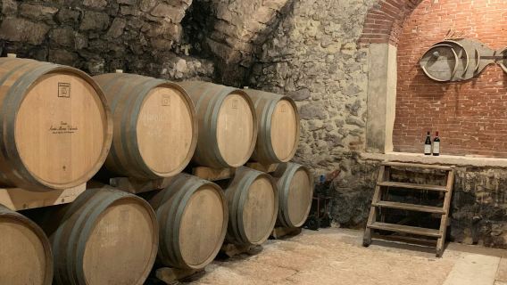 Valpolicella: degustazione di cibo e olio d'oliva + trasporto facoltativo