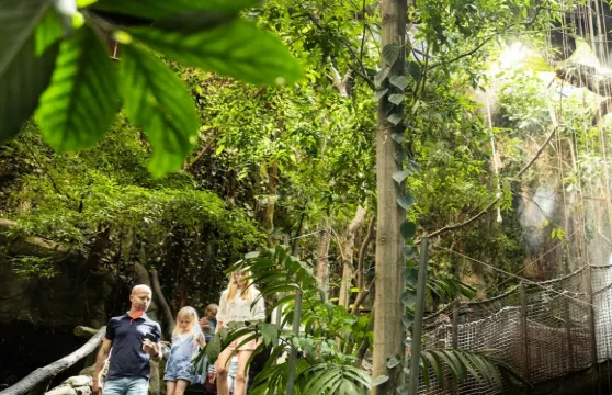 自然科技館：入場門票小童