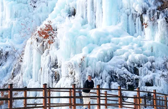 冬季限定｜首爾出發：魚飛溪谷+南怡島 +晨靜樹木園