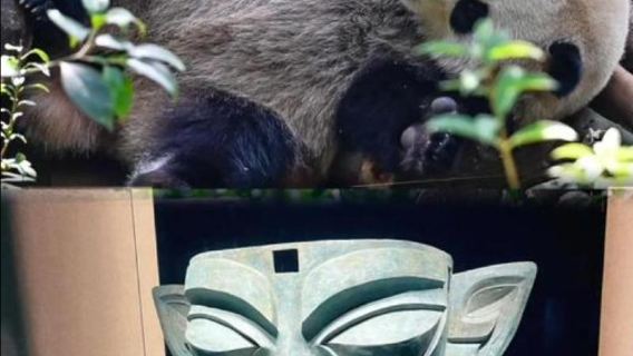 四川成都大熊貓繁育研究基地+春熙路+太古里+寬窄巷子包車日遊