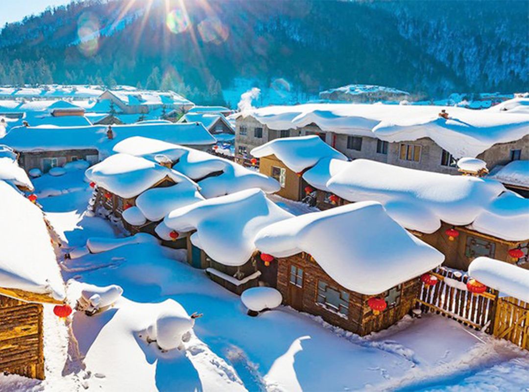 雪鄉一日遊【VIP⑥人·馬拉爬犁·巴士贈午餐+二人轉·馴鹿】