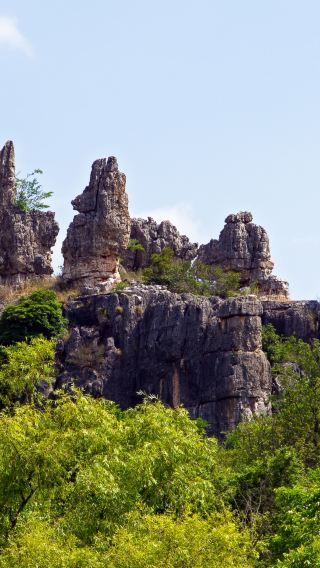 Kunming Stone Forest Private One-Day Tour [Multilingual Services /Late Departure Time]