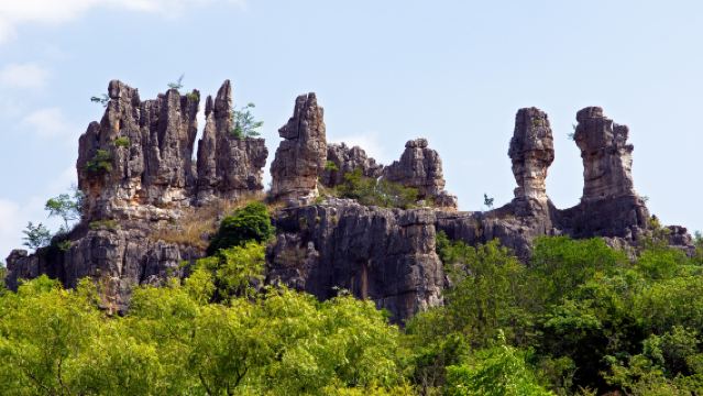 Kunming Stone Forest Private One-Day Tour [Multilingual Services /Late Departure Time]